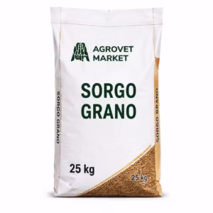 Sorgo Grano – Fuente Energética de Grano para Animales